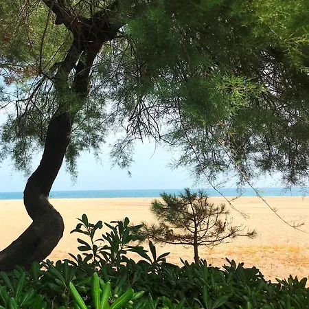 Apartment Front De - Res Le Byblos Plage d'Argeles